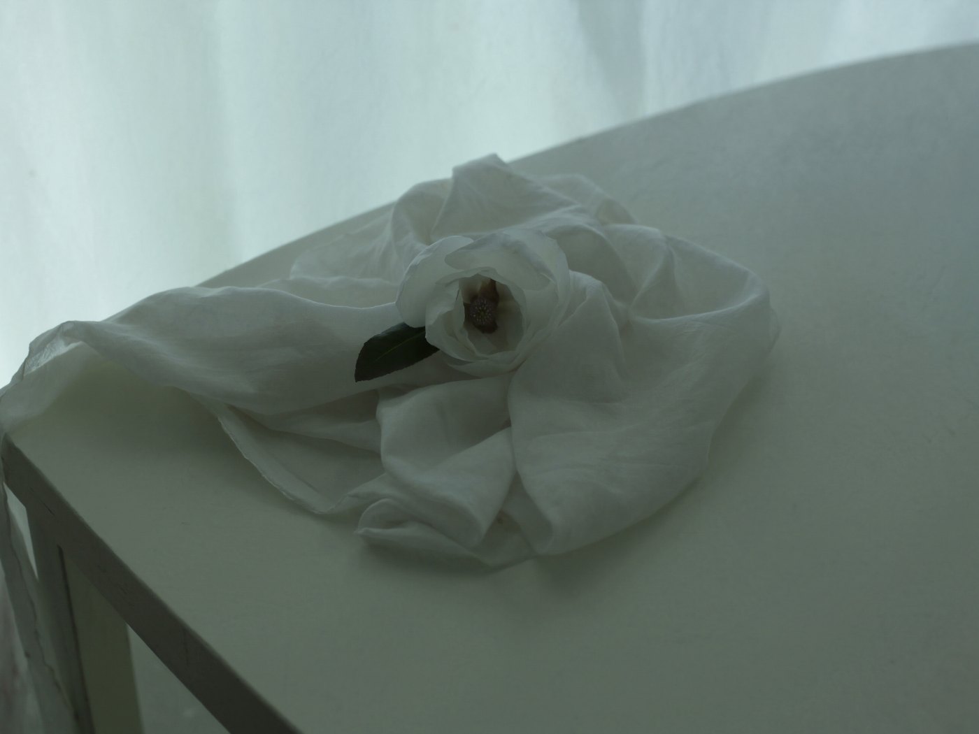 Biała muślinowa chusta z kwiatem magnolii w delikatnym świetle